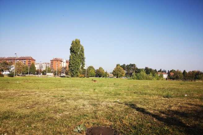 Jak przenieść warunki zabudowy na podzielone działki?