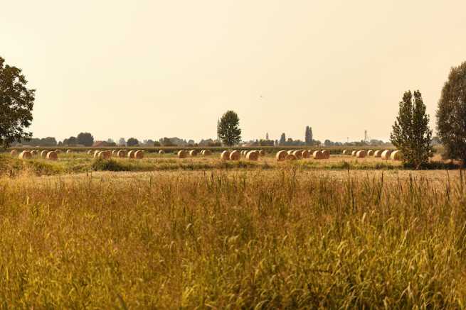 Jak darować działkę rolną synowi i umożliwić mu szybkie rozpoczęcie budowy siedliska?