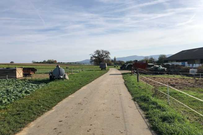 Podłączenie wody przez drogę prywatną a brak kontaktu z współwłaścicielem – jakie masz możliwości?