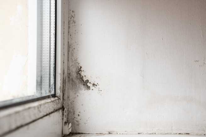 Wilgoć w mieszkaniu, a możliwość rozwiązania umowy najmu